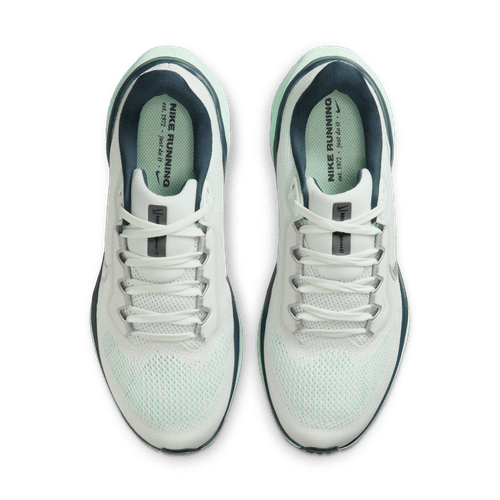 Et par Nike Pegasus 41 Dame løbesko i Ghost Aqua/Metallic Silver-Mint Foam, set fra oven. Med overdel i mesh, snørebånd, React-skum for komfort og NIKE RUNNING-tekst på indlægssålerne.